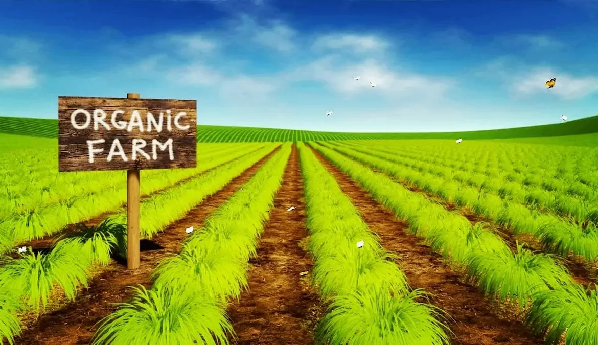 Organic Farming in Nepal (History, Advantages, Disadvantages, Future prospective and Limitation of Organic Farming)