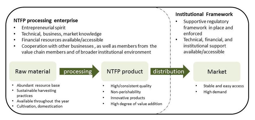 Medicinal plants and NTFP Processing and post-harvest technology 