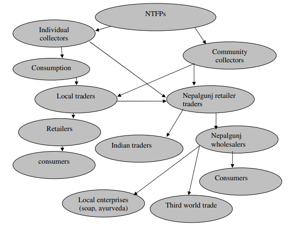 UNIT- 2 Trade and marketing of NTFP and Medicinal Plants