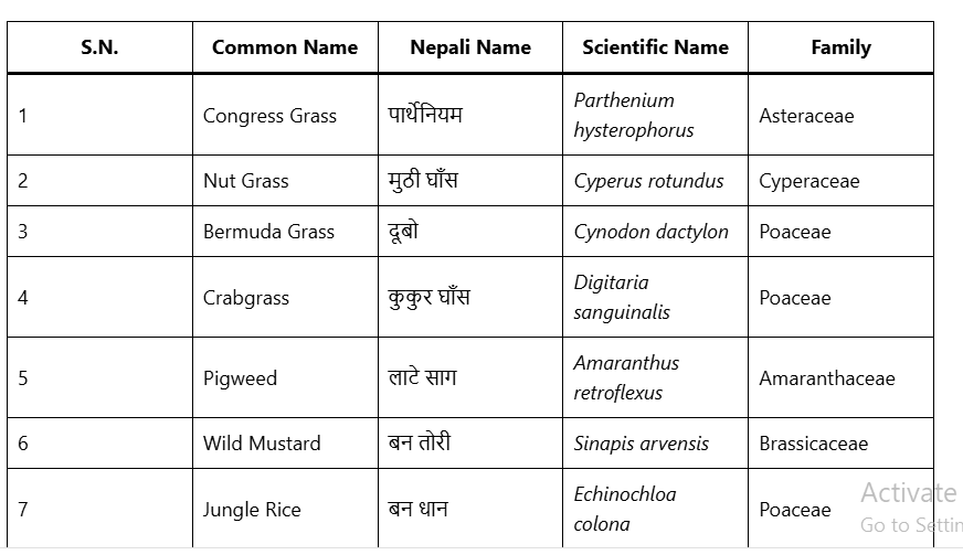 list of 50 weeds with common name, nepali name, in nepali scientific name and family