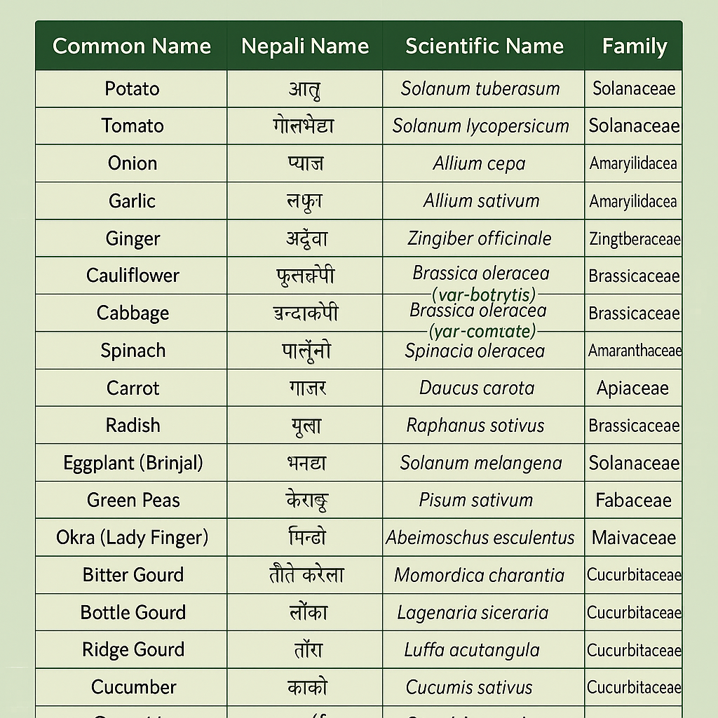 list of 50 Seeds with common name, Nepali name, In Nepali scientific name and family description